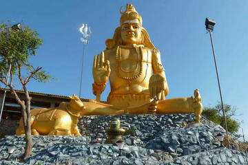 Private Day Tour: Trincomalee from Dambulla