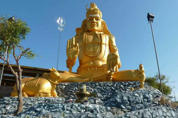 Private Day Tour: Trincomalee from Sigiriya