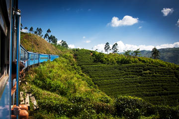 Private Day Trip: Nuwara Eliya from Kandy by Train