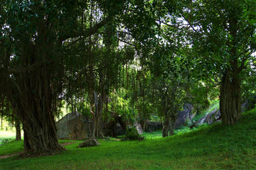 Private Day Trip to Twin Kingdoms from Kandy
