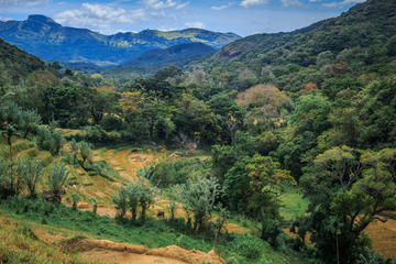 Private Full-Day Village Walking Tour from Kandy