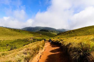 Private Guided Hike to Kirigalpoththa Mountain via Horton Plains