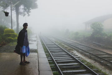 Private Guided Railroad Hike to Horton Plains Borders