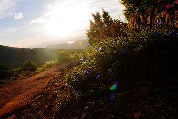Private Knuckles Mountain Range Adventure from Kandy