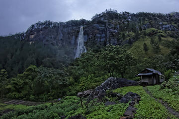 Private Tour: Wangedikanda and Bambarakanda 1 Night Camping