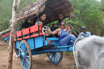 Private Village Tour Including Traditional Sri Lankan Lunch from Negombo