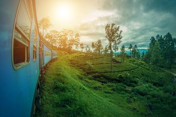 Scenic Train Tour to Ella from Kandy