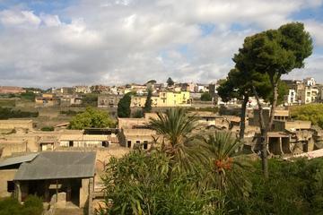 HERCULANEUM'S STUNNING TOUR