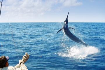 Deep Sea Fishing