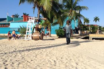 Falmouth Shore Excursion: Best of Jamaica