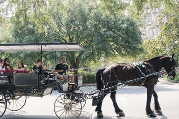 Horse and Carriage Tour of Historic Savannah