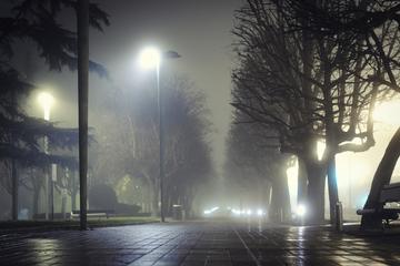 Savannah Ghost Tour and Trolley Tour Combo