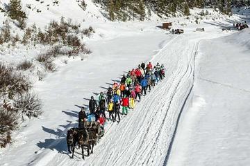 Hidden Valley Ski Tour