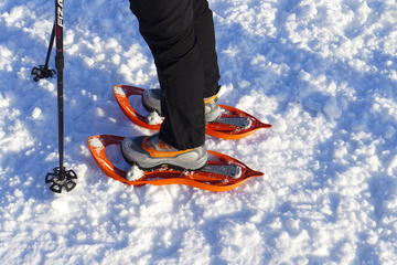 Winter Nordic Walking in Cortina d'Ampezzo