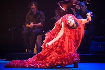 Tapas and Wine Walking Tour with Flamenco Experience