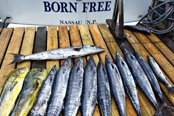 Private Half-Day Fishing Charter in Nassau