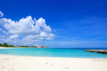 Private Half-Day Sightseeing and Beach Charter in Nassau