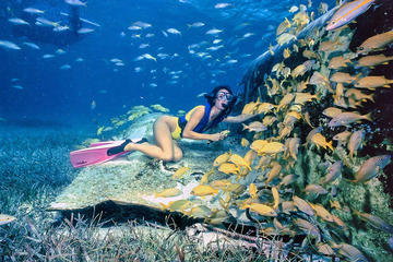 Private Half-Day Snorkeling Charter in Nassau