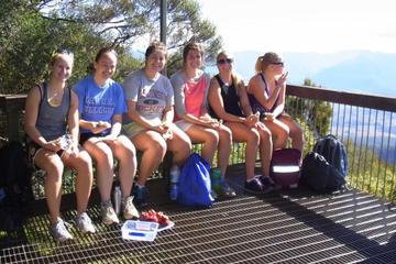 Mount Warning Day Trip from Byron Bay Including BBQ Lunch