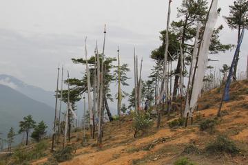 Kuenselphodrang day hike