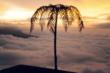 Natural Park Chicaque Private Tour from Bogotá