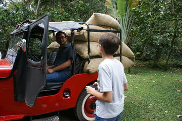 Private Coffee Plantation Tour Including Lunch in Chinauta