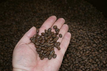 Private History and Tasting Coffee Tour in Bogotá