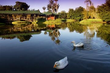 Private Tour: Botanical Garden José Celestino Mutis of Bogotá