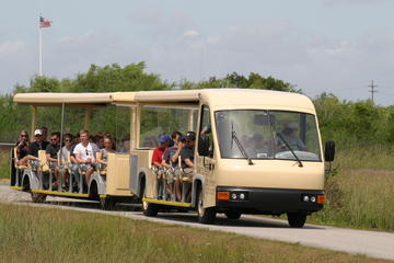 Shark Valley Everglades Guided Tram Tour