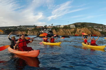 Day Trip Laguna Beach Kayak Tour with Sea Lion Viewing near Laguna Beach, California 