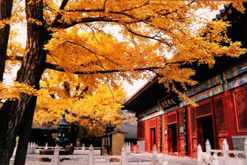 Private Transfer Service from Beijing to Mutianyu and Red Snail Temple