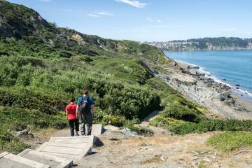 Bridge to Beach Private Hike in San Francisco