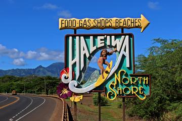 Private Full-Day North Shore of Oahu Tour