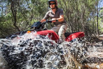Quad Bike 2-Hour Adventure: Freycinet National Park