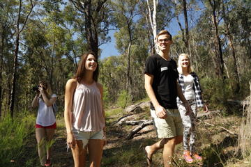 Blue Mountains Day Trip
