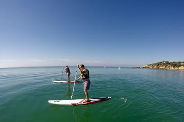 Bike tour and SUP - Stand Up Paddle
