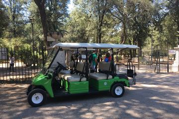 Golf Cart Tour in Rome with Local