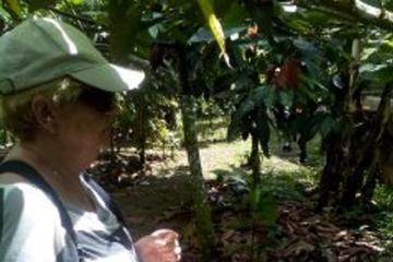 Don Olivo Chocolate Tour from La Fortuna