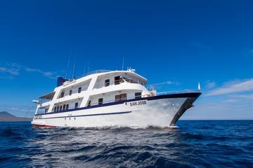 Galapagos Cruise: 4-Day Tour to Santa Cruz, Genovesa and San Cristobal Islands