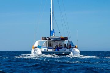 Galapagos Islands Cruise: 4-Day Catamaran Sail Aboard the 'Nemo I'