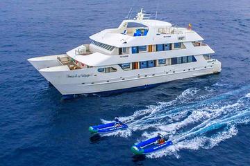 Galapagos Islands Cruise: 5-Day Catamaran Sail Aboard the 'Catamaran Treasure of Galapagos'