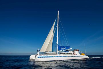 Galapagos Islands Cruise: 5-Day Catamaran Sail Aboard the 'Nemo I'