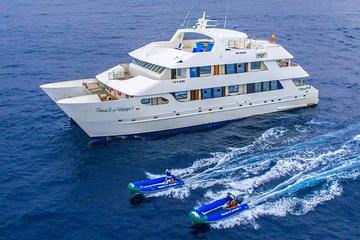 Galapagos Islands Cruise: 7-Days Catamaran Sail Aboard the 'Catamaran Treasure of Galapagos'