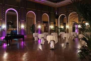 Vienna New Year's Concert with Dinner at Palais Auersperg