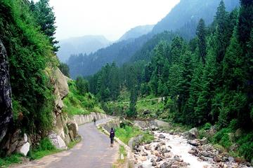 6-Night Private Himachal Pradesh Tour from New Delhi
