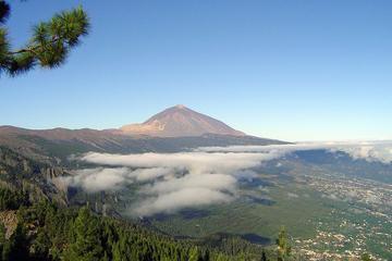 Essential Tenerife