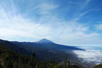 Private Shore Excursion: Tenerife by Land and Sea