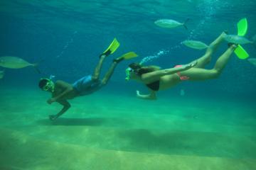 Beach Hopper Snorkeling Tour in Los Cabos