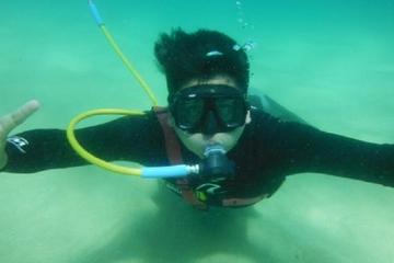 Sea of Cortez Snuba Adventure from Los Cabos