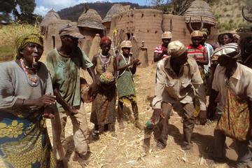 13-Days Guided Cultural Discovery and Adventure Tour of Togo and Benin from Lome
